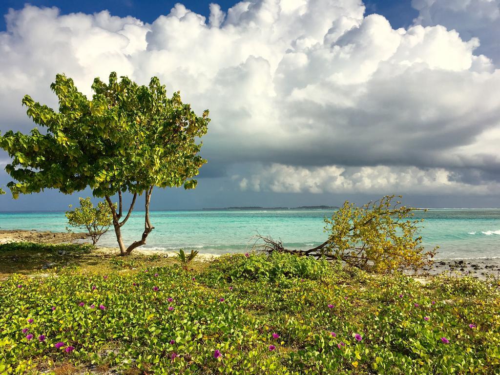 Faza View Inn, Maafushi Exterior photo